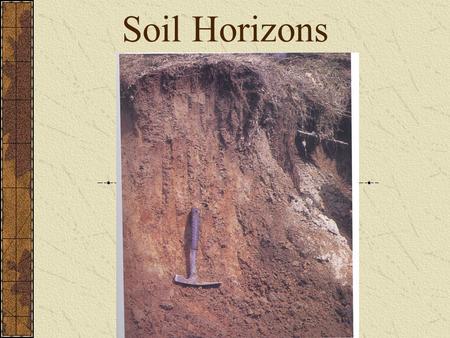 Soil Horizons. Organic Layer (O-horizon) The uppermost layer; it is rich in organic material. Plant litter accumulates in the O- horizon and gradually.