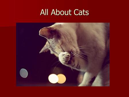 All About Cats. 2 1 8 7 6 5 4 3 10 9 11 Symptoms of Stress in Cats.