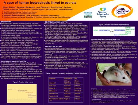 A case of human leptospirosis linked to pet rats BACKGROUND  Leptospirosis is a relatively uncommon zoonotic infection in England and Wales with an average.