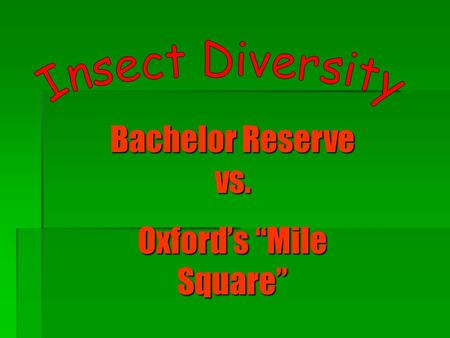 Bachelor Reserve vs. Oxford’s “Mile Square”. Introduction  Purpose - To study insect diversity in the Bachelor Reserve and the Mile Square“ to see whether.