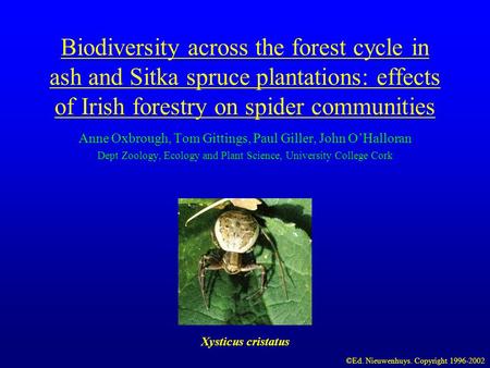 Biodiversity across the forest cycle in ash and Sitka spruce plantations: effects of Irish forestry on spider communities Anne Oxbrough, Tom Gittings,