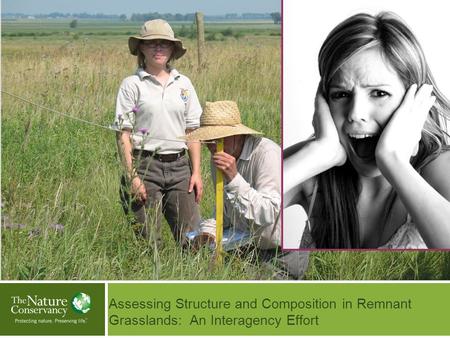 Assessing Structure and Composition in Remnant Grasslands: An Interagency Effort Insert Your Image Here © Insert Image Credit.