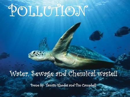 POLLUTION Water, Sewage and Chemical waste!! Done by- Tamsin Rhodes and Tim Campbell.