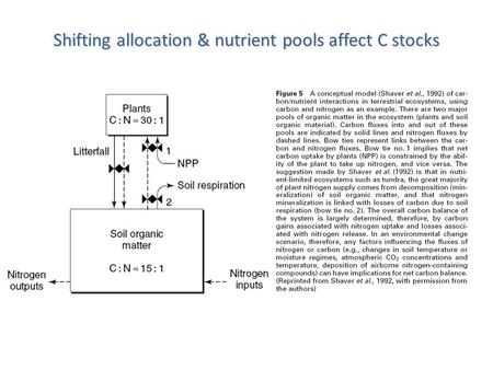 Shifting allocation & nutrient pools affect C stocks.