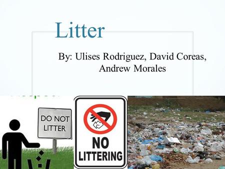 Litter By: Ulises Rodriguez, David Coreas, Andrew Morales.