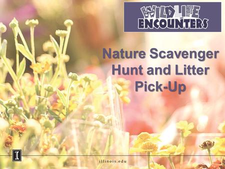 Nature Scavenger Hunt and Litter Pick-Up. Objectives Identify common wildlife species. Understand why it is important not to litter. Practice addition.