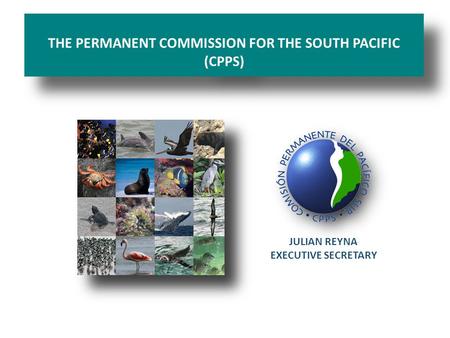THE PERMANENT COMMISSION FOR THE SOUTH PACIFIC (CPPS) JULIAN REYNA EXECUTIVE SECRETARY.