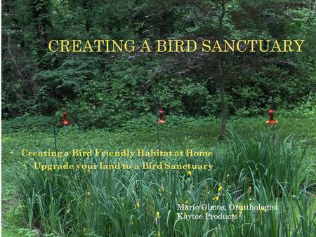 Creating a Bird Friendly Habitat at Home Upgrade your land to a Bird Sanctuary CREATING A BIRD SANCTUARY Mario Olmos, Ornithologist Kaytee Products.