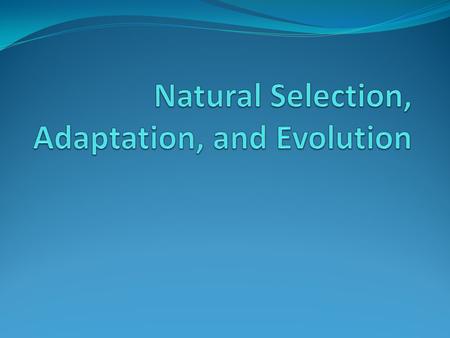 Natural Selection, Adaptation, and Evolution