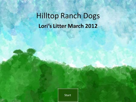 Hilltop Ranch Dogs Lori’s Litter March 2012. Navigation The presentation will run automatically or you can go directly to the page you want to see by.
