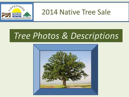 2014 Native Tree Sale Tree Photos & Descriptions.
