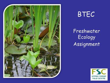 BTEC Freshwater Ecology Assignment. Interdependence All members of an ecosystem are connected in a network of relationships The success of the whole system.