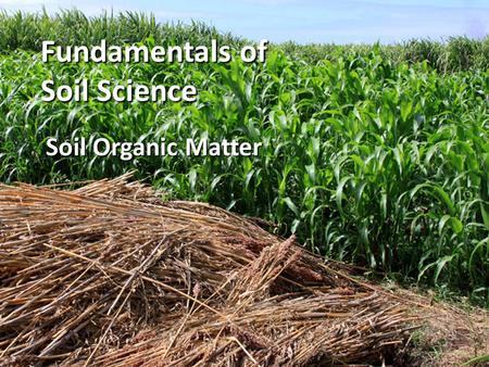 Fundamentals of Soil Science Soil Organic Matter.