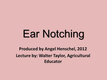 Ear Notching Produced by Angel Henschel, 2012 Lecture by: Walter Taylor, Agricultural Educator.