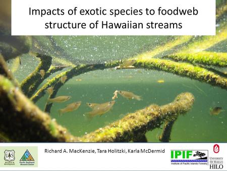 Impacts of exotic species to foodweb structure of Hawaiian streams Richard A. MacKenzie, Tara Holitzki, Karla McDermid.