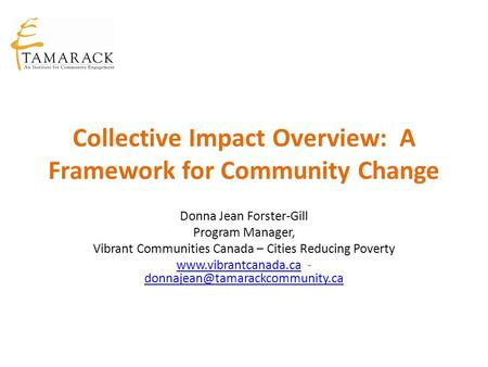 Collective Impact Overview: A Framework for Community Change