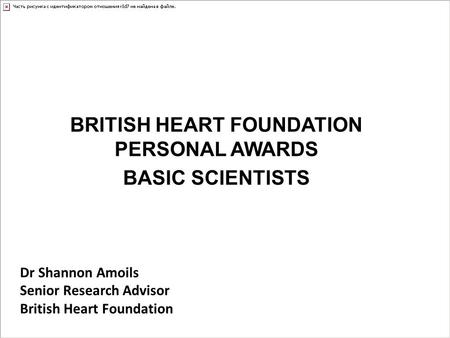 BRITISH HEART FOUNDATION PERSONAL AWARDS BASIC SCIENTISTS