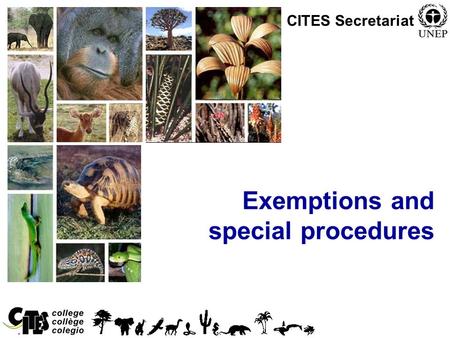 1 Exemptions and special procedures CITES Secretariat.