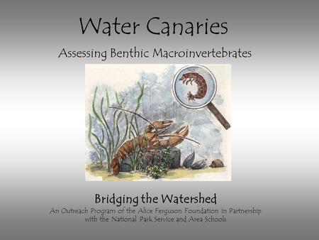 Water Canaries Assessing Benthic Macroinvertebrates