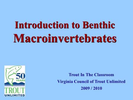 Introduction to Benthic Macroinvertebrates Trout In The Classroom Virginia Council of Trout Unlimited 2009 / 2010.
