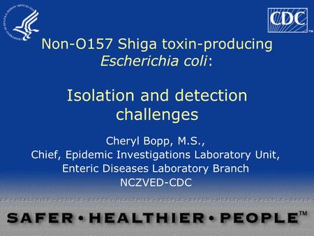 Non-O157 Shiga toxin-producing Escherichia coli: Isolation and detection challenges Cheryl Bopp, M.S., Chief, Epidemic Investigations Laboratory Unit,