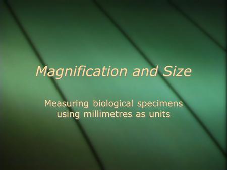 Magnification and Size