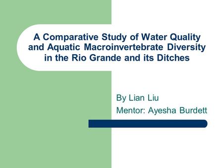 A Comparative Study of Water Quality and Aquatic Macroinvertebrate Diversity in the Rio Grande and its Ditches By Lian Liu Mentor: Ayesha Burdett.