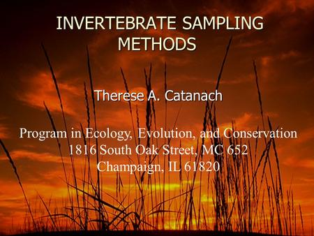 INVERTEBRATE SAMPLING METHODS INVERTEBRATE SAMPLING METHODS Therese A. Catanach Program in Ecology, Evolution, and Conservation 1816 South Oak Street,