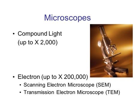 Microscopes Compound Light (up to X 2,000) Electron (up to X 200,000) Scanning Electron Microscope (SEM) Transmission Electron Microscope (TEM)