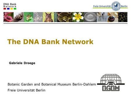 The DNA Bank Network Gabriele Droege Botanic Garden and Botanical Museum Berlin-Dahlem Freie Universität Berlin.