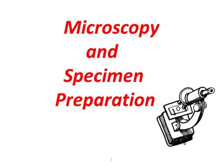 1 Microscopy and Specimen Preparation. T. Trimpe 2005