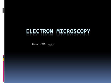 Groups: WA 2,4,5,7. History  The electron microscope was first invented by a team of German engineers headed by Max Knoll and physicist Ernst Ruska in.