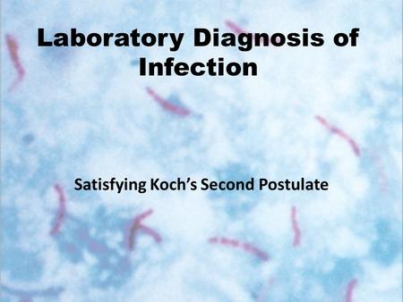Laboratory Diagnosis of Infection
