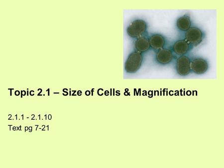 Topic 2.1 – Size of Cells & Magnification 2.1.1 - 2.1.10 Text pg 7-21.