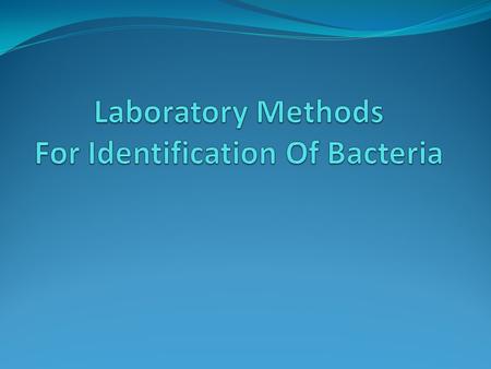 Laboratory Methods For Identification Of Bacteria