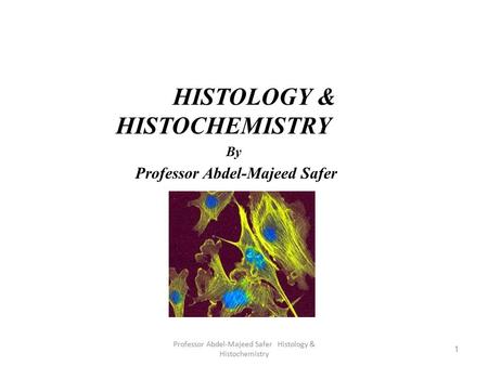 HISTOLOGY & HISTOCHEMISTRY By Professor Abdel-Majeed Safer