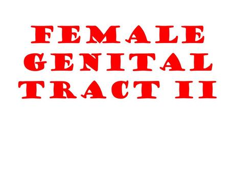 FEMALE GENITAL TRACT II