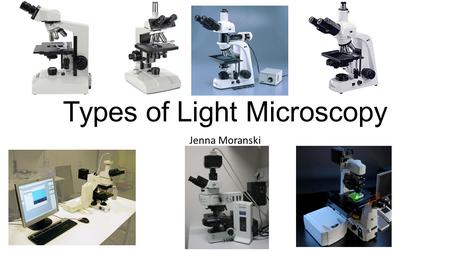 Types of Light Microscopy Jenna Moranski. Compound Light Microscope What can be viewed Transparent samples Dead specimen Must be small enough to fit on.