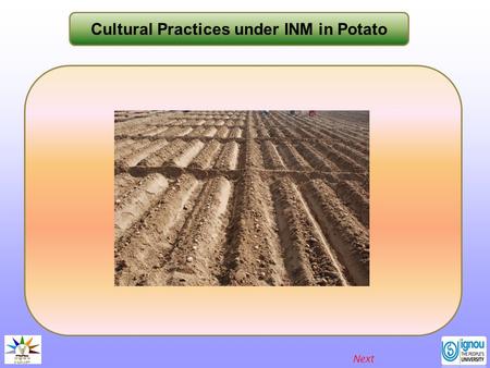 Cultural Practices under INM in Potato Next. Cultural Practices under INM in Potato Introduction Potato is an important crop in India with a harvest of.