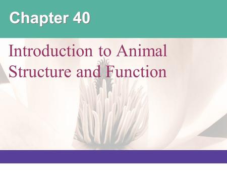 Introduction to Animal Structure and Function
