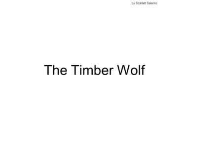 By Scarlett Salerno The Timber Wolf.