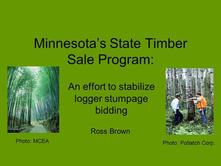 Minnesota’s State Timber Sale Program: An effort to stabilize logger stumpage bidding Photo: Potlatch Corp. Photo: MCEA Ross Brown.