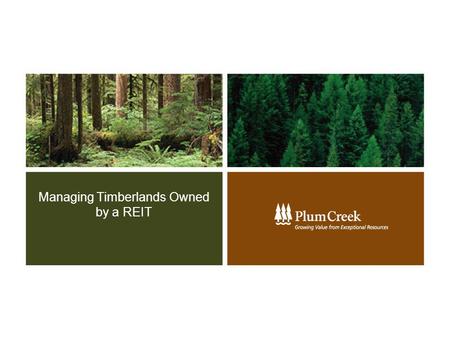 Managing Timberlands Owned by a REIT. 2 Key Components of a REIT  REIT Background: Form of C-corporation Created in 1960 Vehicle for the multitudes Pass-through.