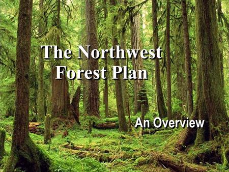 The Northwest Forest Plan The Northwest Forest Plan An Overview.
