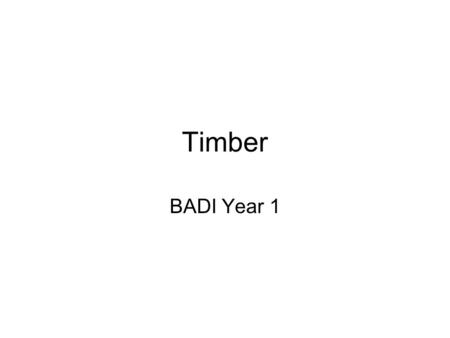 Timber BADI Year 1.