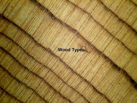 Wood Types.