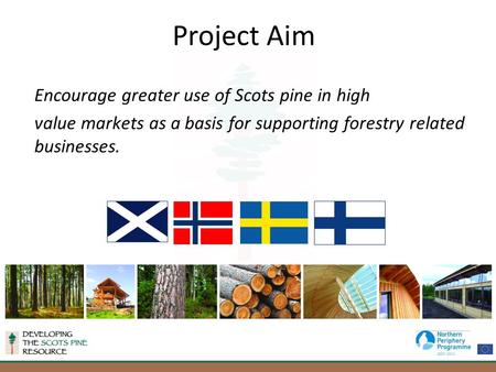 Encourage greater use of Scots pine in high value markets as a basis for supporting forestry related businesses. Project Aim.