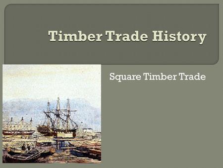 Square Timber Trade.  Wood was the staple of Canadian trade for much of the 19th century. Fueled by European demand, the timber trade brought investment.