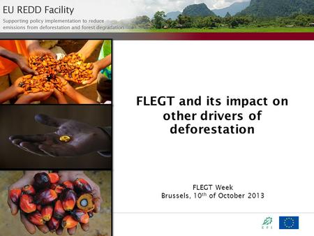FLEGT Week Brussels, 10 th of October 2013 FLEGT and its impact on other drivers of deforestation.