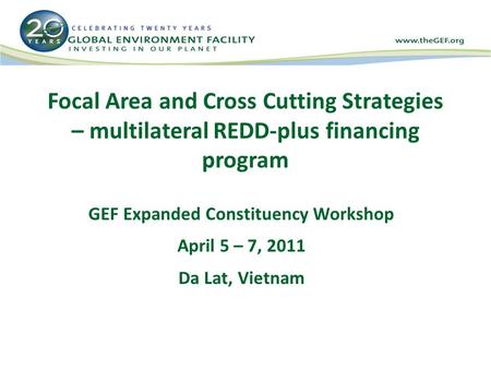 Focal Area and Cross Cutting Strategies – multilateral REDD-plus financing program GEF Expanded Constituency Workshop April 5 – 7, 2011 Da Lat, Vietnam.